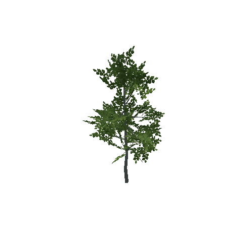 Aspen Green Sapling 3